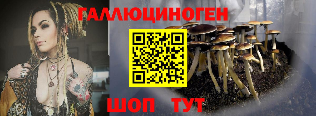 Галлюциногенные грибы ЛСД  Галлюциногенные грибы ЛСД  Вход с VPN  Россия 